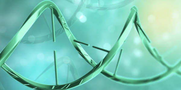 L’acide hyaluronique