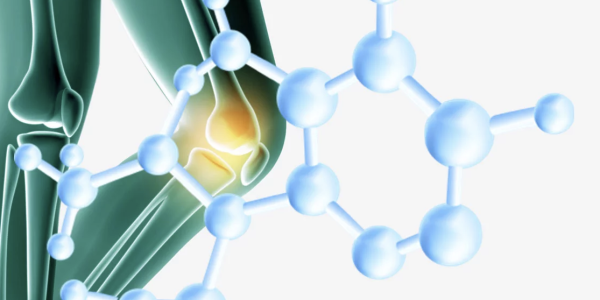La Chondroïtine sulfate